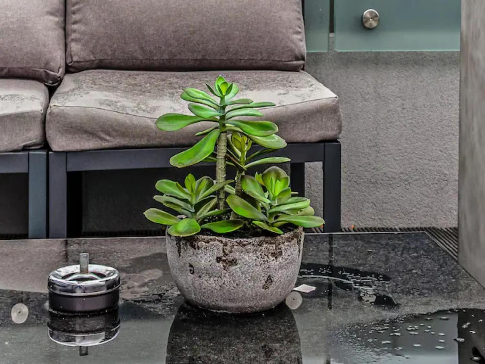 Pass The Keys Penthouse Oasis In Trendy Fulham Apartment London Luaran gambar